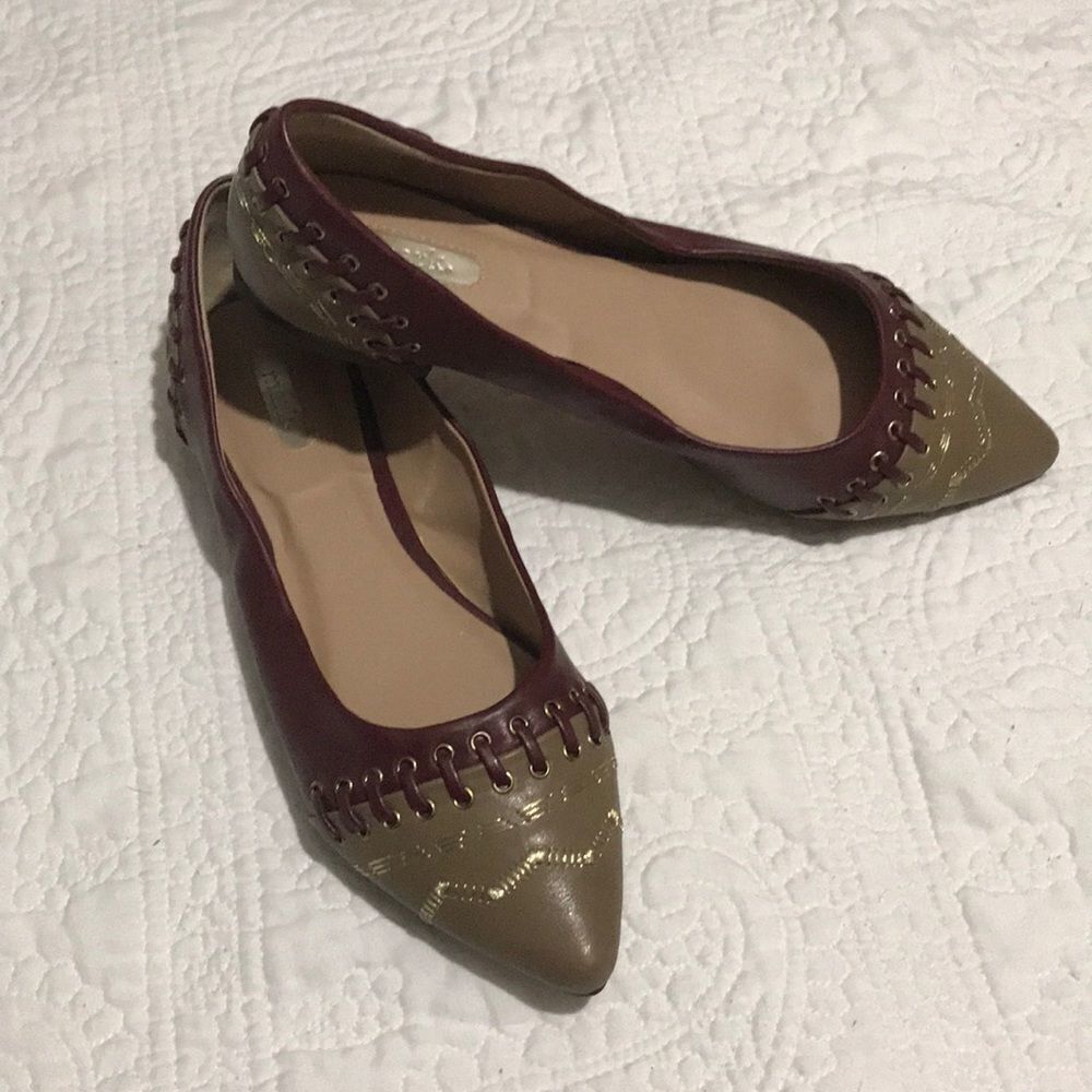Pointed toe wine and gold flats